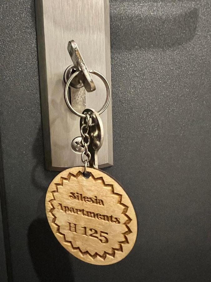Silesia Apartments Ustron H125 외부 사진
